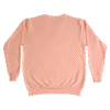 Sudadera JESUS LOVES YOU rosa