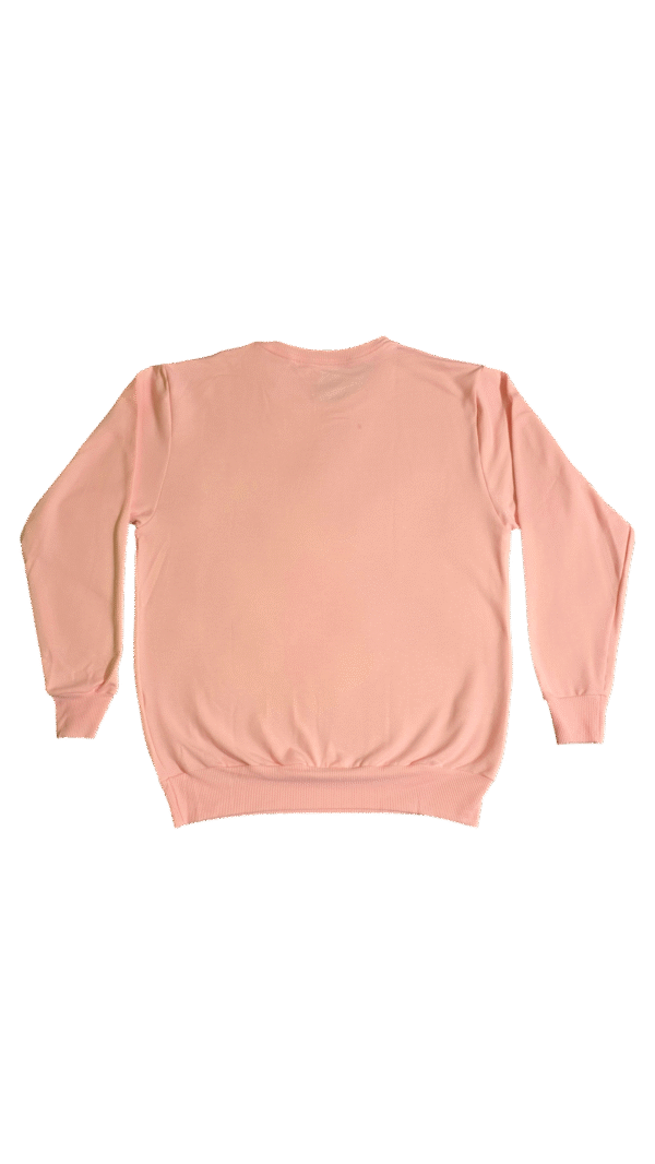 Sudadera JESUS LOVES YOU rosa