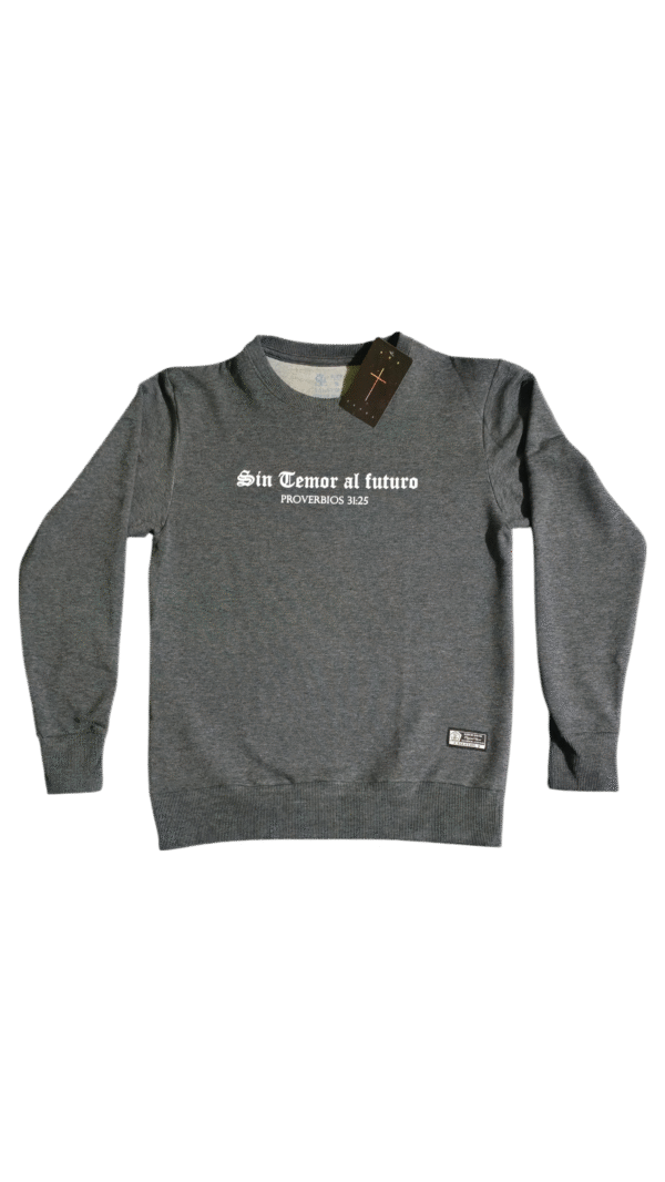 SUDADERA SIN TEMOR AL FUTURO gris