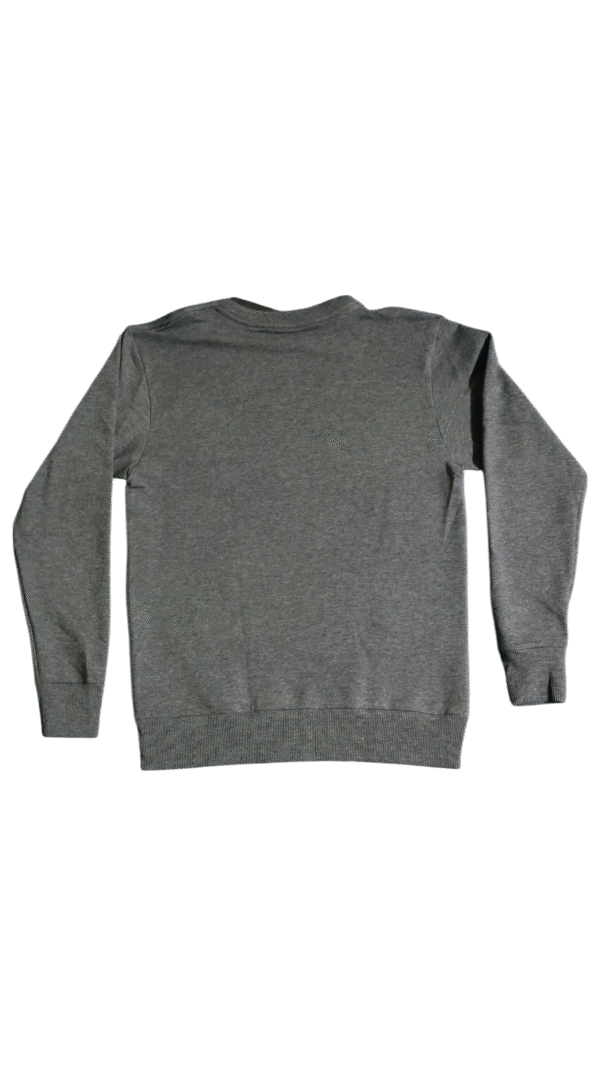 SUDADERA SIN TEMOR AL FUTURO gris