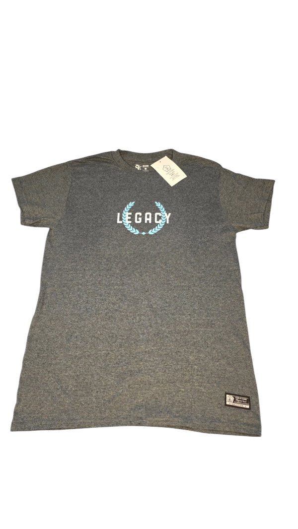 Camisa LEGACY gris