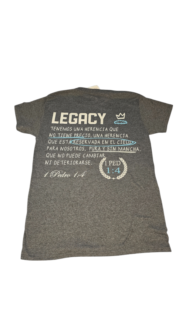 Camisa LEGACY gris