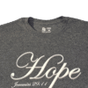 Camisa HOPE gris