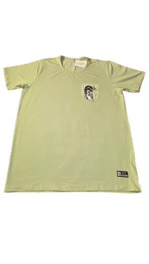 Camisa verde EFESIOS