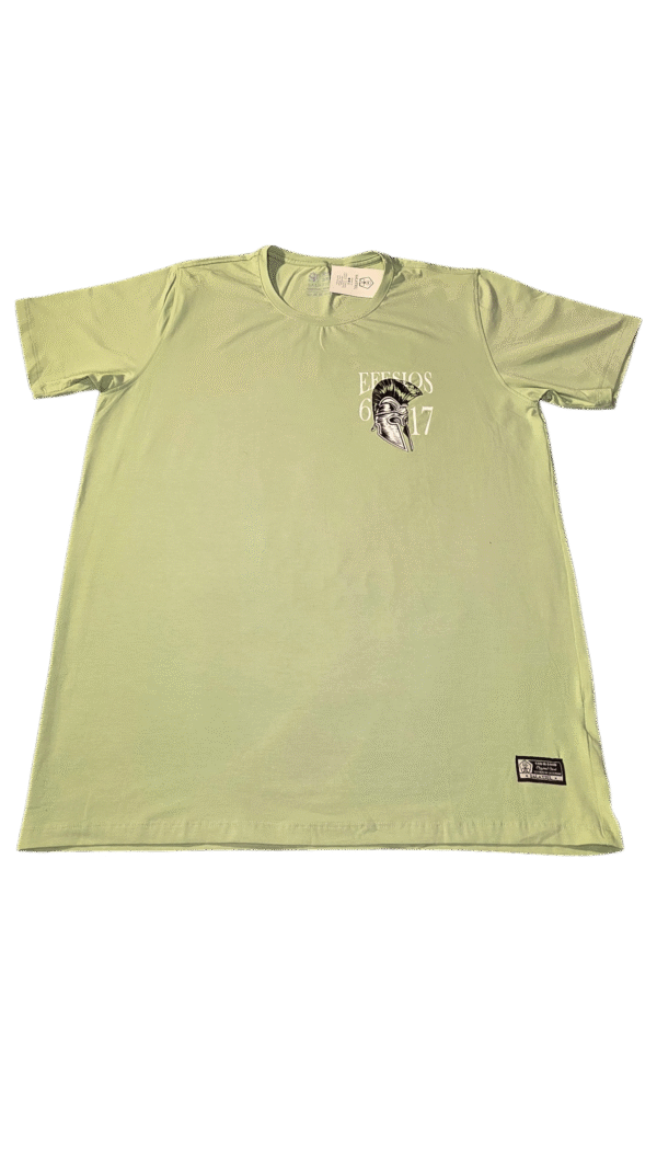 Camisa verde EFESIOS