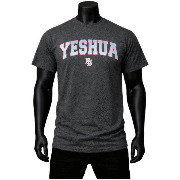 Camisa YESHUA celeste/rosa