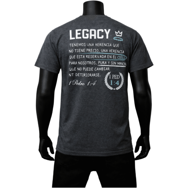 Camisa LEGACY gris