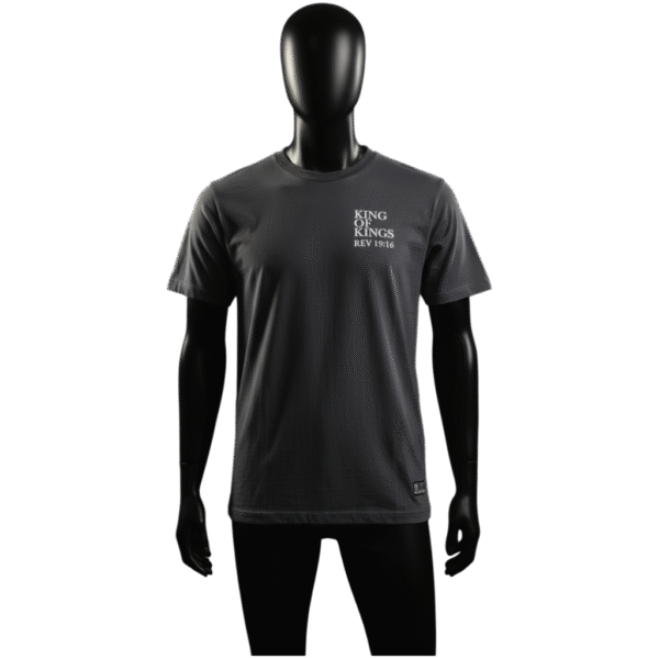 Camisa KING OF KINGS gris