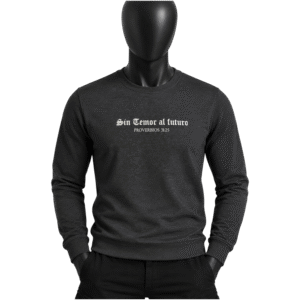 SUDADERA SIN TEMOR AL FUTURO gris