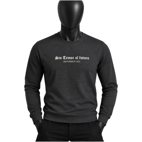 1769718021077 (1) (10) SUDADERA SIN TEMOR AL FUTURO gris