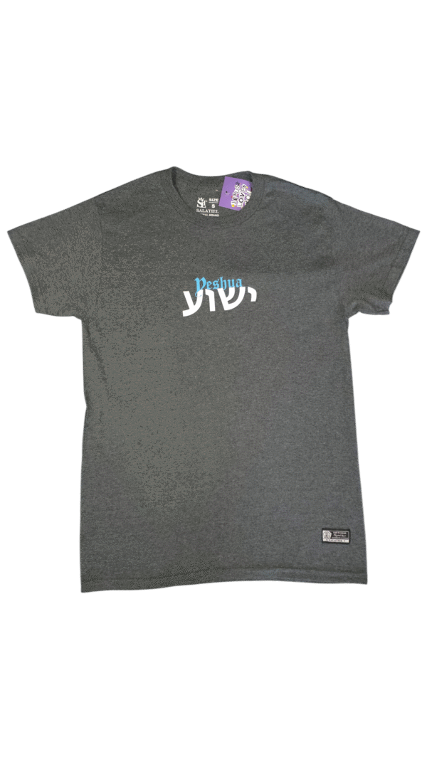 YS Yeshua