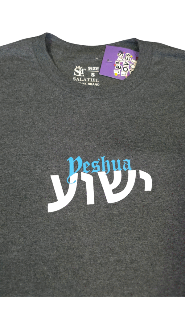 YS Yeshua