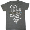 YS Yeshua