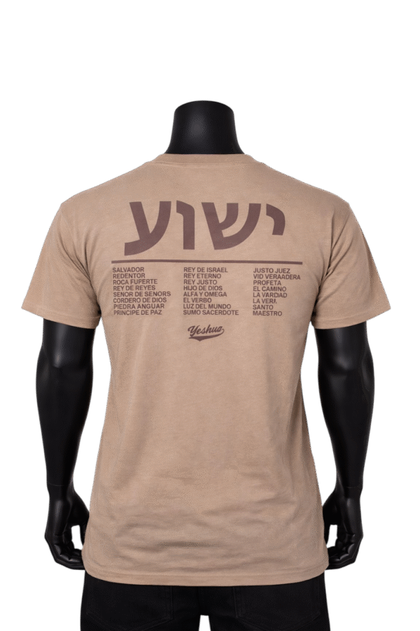 file_00000000434071fd8803202dbb5265a4 (1) (4) Yeshua café