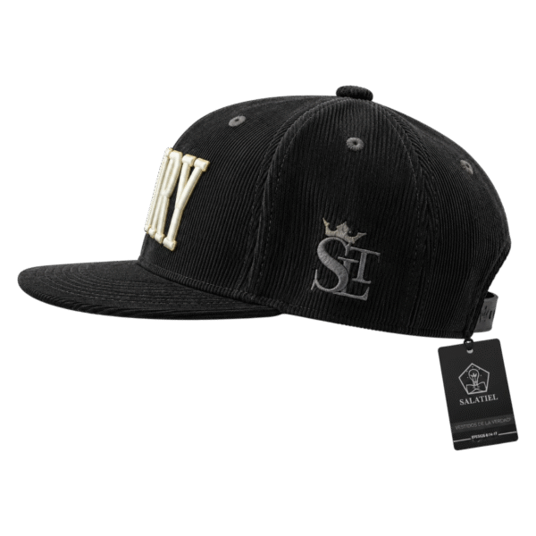 1769718021077 (1) (48) Gorra plana Victory Negra
